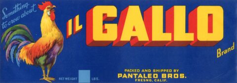 Il Gallo
